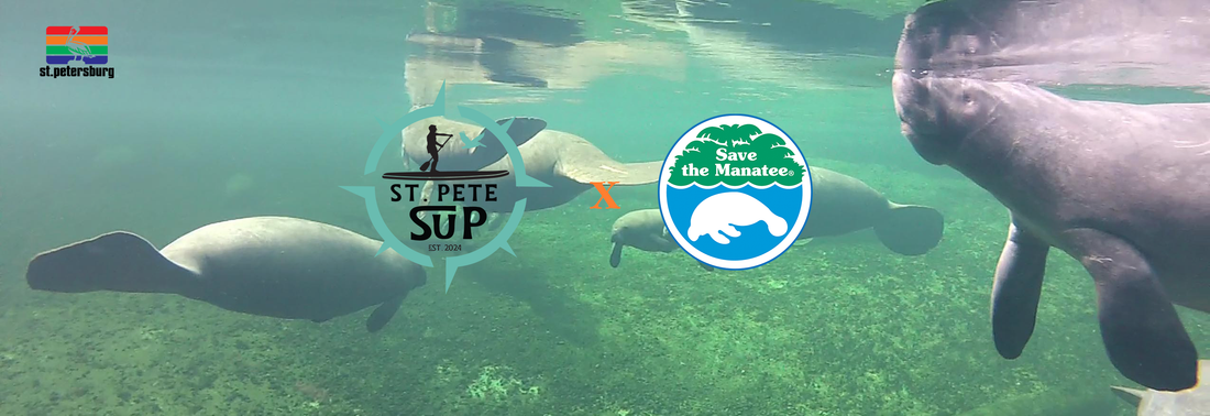 St. Pete SUP Announces Save The Manatee Club as Official Charity
