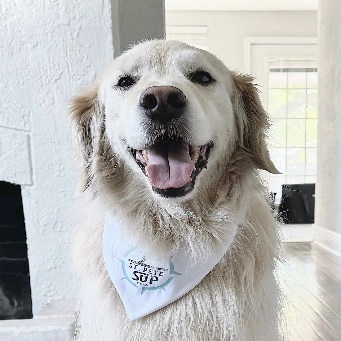 GOLDEN RETRIEVER PADDLE BOARD DOG
