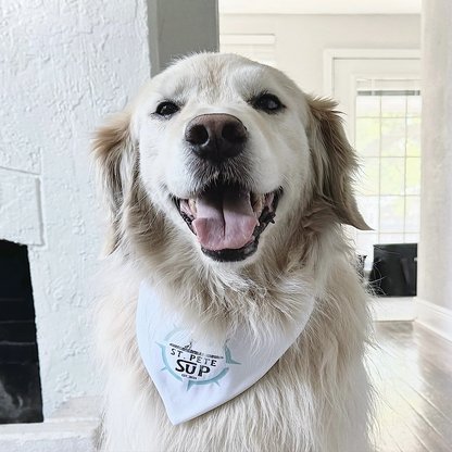 GOLDEN RETRIEVER PADDLE BOARD DOG