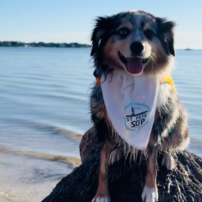 SUP Pup - St. Pete SUP Mascot