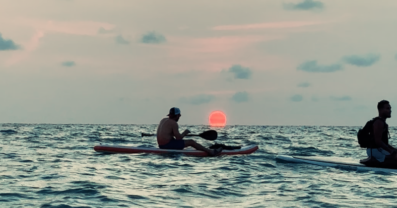 Sunset Paddle Boarding